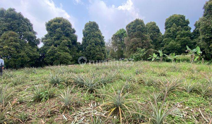  Tanah Murah cijeruk Tajur Halang Best View Strategis Balakosa 1