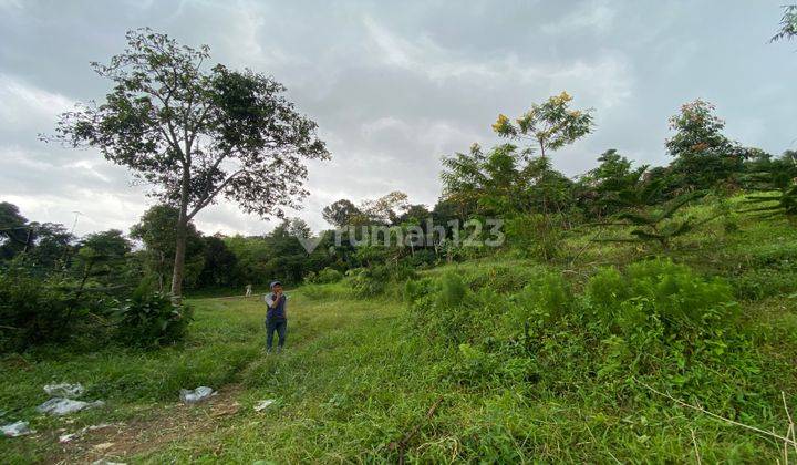  Tanah Murah Cijeruk Best View Pegunungan belakang baith coffe 2