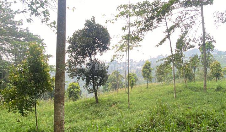 Dijual Tanah murah cijeruk best view samping curug putri pelangi 2