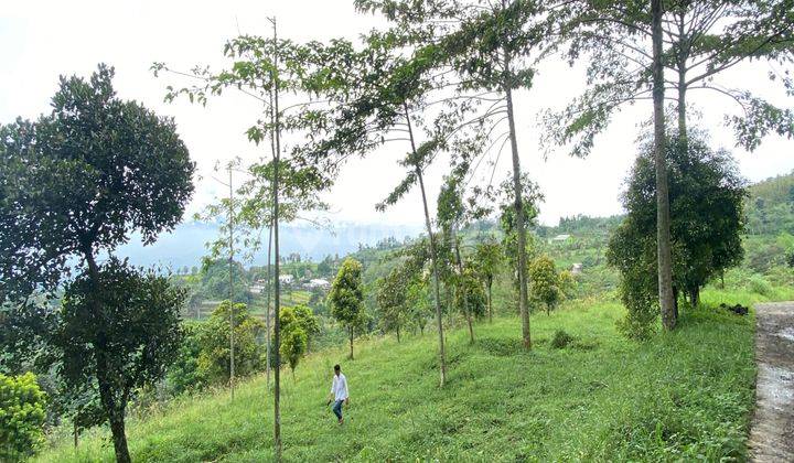 Dijual Tanah murah cijeruk best view samping curug putri pelangi 1