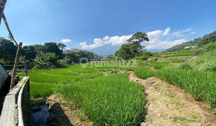 Dijual tanah di pamijahan bogor best view pinggir sungai murah 1