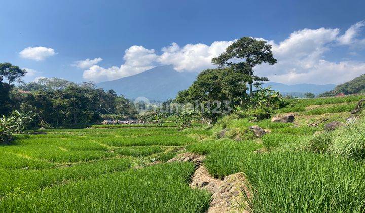 Dijual tanah di pamijahan bogor best view pinggir sungai murah 2