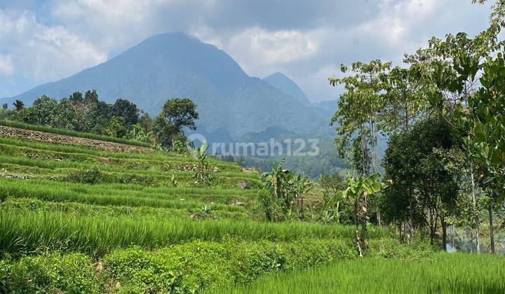 Dijual tanah sawah pinggir sungai tenjolaya best view gunung sala 1