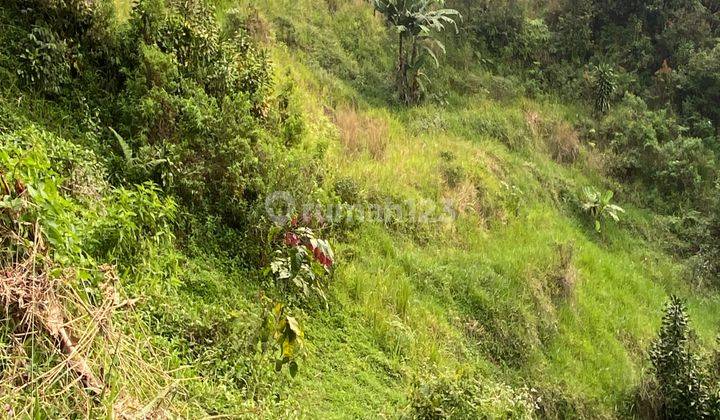 tanah cijeruk murah tapos sukaharja kawasan villa best view 2