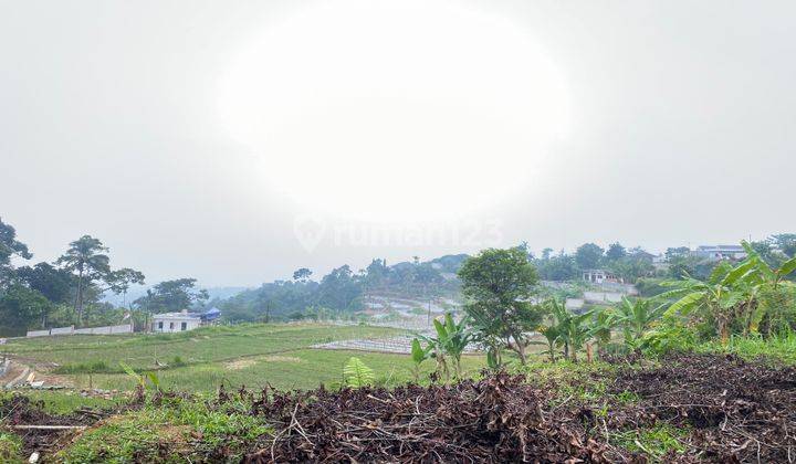 Dijual Tanah Cigombong Cijeruk Murah Best View Ada Mata Air 1