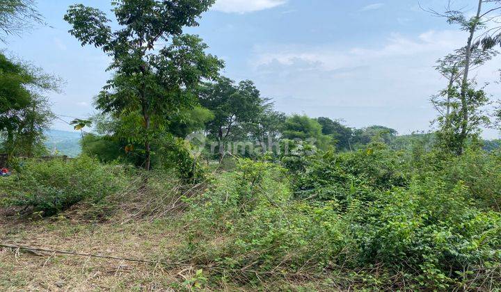 Dijual Tanah Sukamakmur Pabuaran Pinggir Jalan Provinsi Best View 2