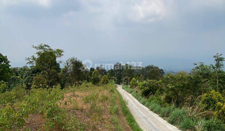 Dijual Tanah Cijeruk Murah Best View Cocok Untuk Villa Dan Resort 2