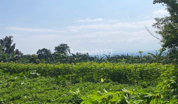 tampak depan dijual tanah cijeruk cibalung murah