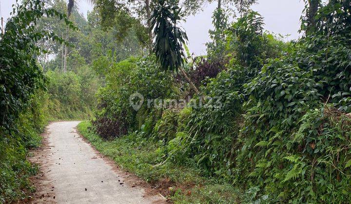 Tanah Cijeruk Cigombong Best View Ada Mata Air Murah Untuk Vila 1