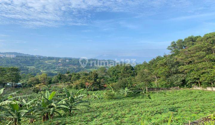 Dijual Tanah Cijayanti Sentul Murah Best View Gunung Dan Golf 1