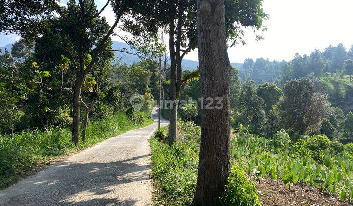 Tanah Cijeruk View Gunung Dan Kota Bogor Strategis Murah 1