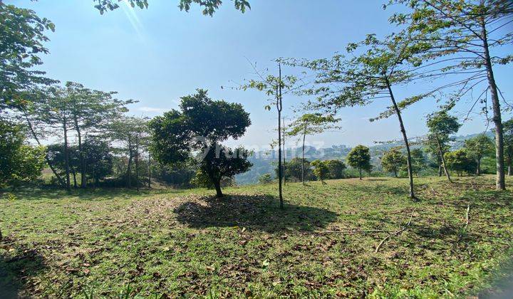 tanah cijeruk murah best view bagus untuk villa atau berkebun 1