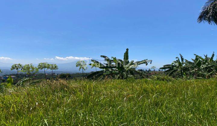 Tanah Cijeruk Cocok Untuk Perumahan Atau Glamping Murah Dekat Tol 2