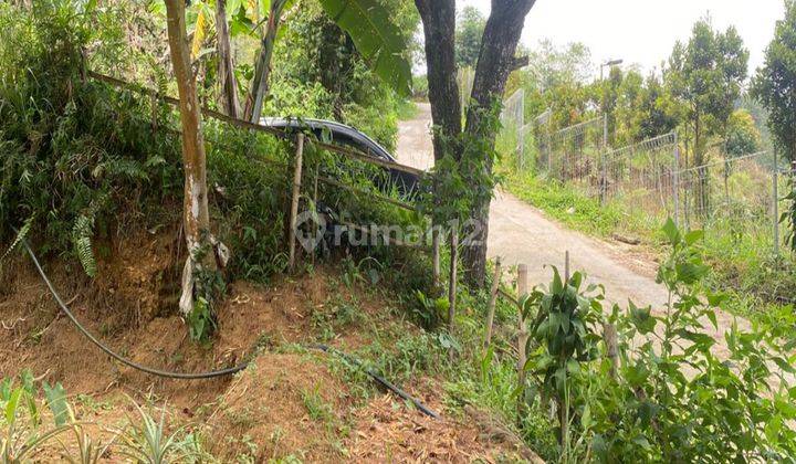 Tanah Cijeruk Murah Siap Bangun Vila Dan Berkebun The Best View 2