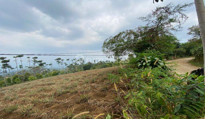 Tanah Cijeruk Tajur Halang Cbest View  Murah Cocok Untuk Villa 2