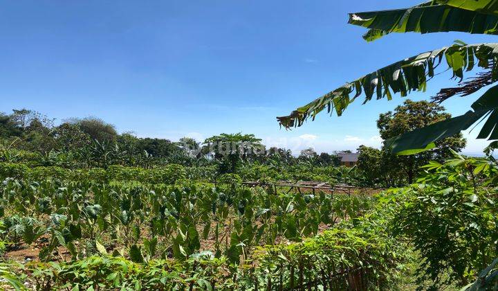 Tanah Cijeruk Cocok Untuk Villa Shm Best View Pinggir Jalan 2