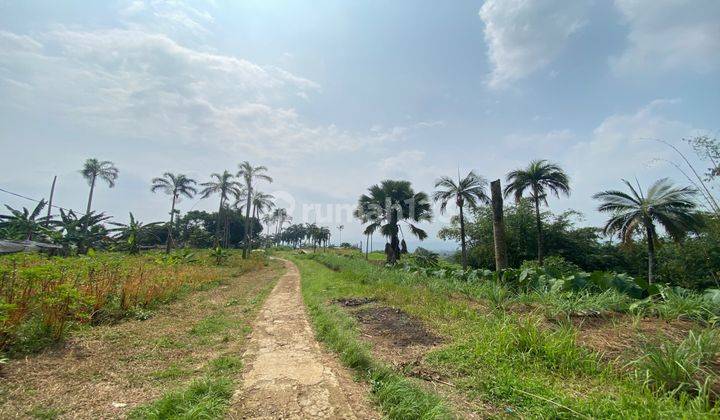 dijual tanah cijeruk murah best view cocok untuk perumahan 2