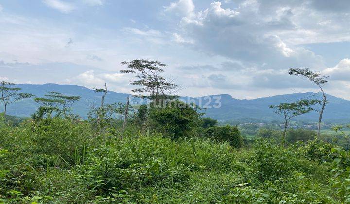 Dijual Tanah Sukamakmur Pabuaran Pinggir Jalan Provinsi Best View 1