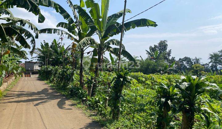 tampak depan dijual tanah cijeruk cibalung murah