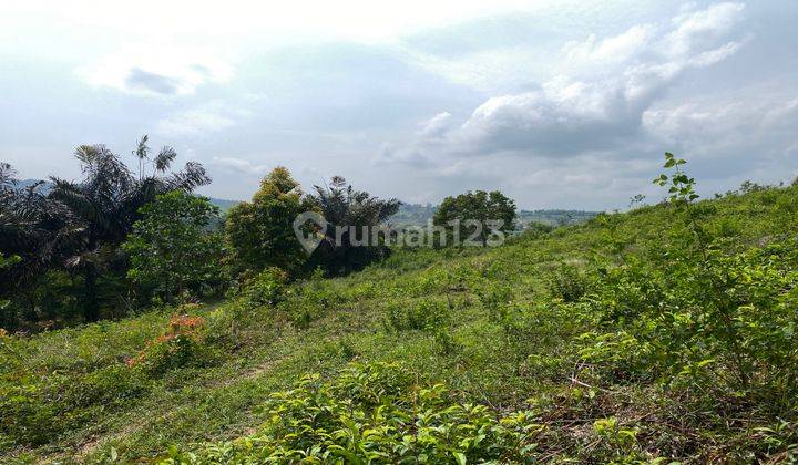 Dijual Tanah Pabuaran Sukamakmur Puncak Dua Best View Murah 2