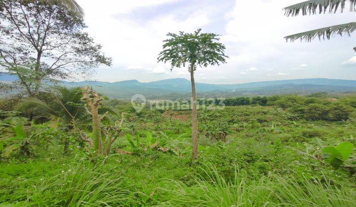  Tanah Sukamakmur Murah Pinggir Jalan Utama Best View Strategis 2