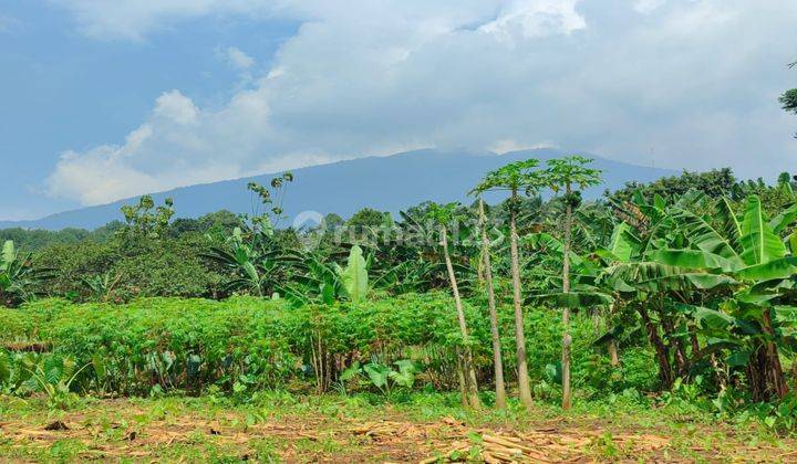 dijual tanah cijeruk view gunung salak dan bogor kota 2