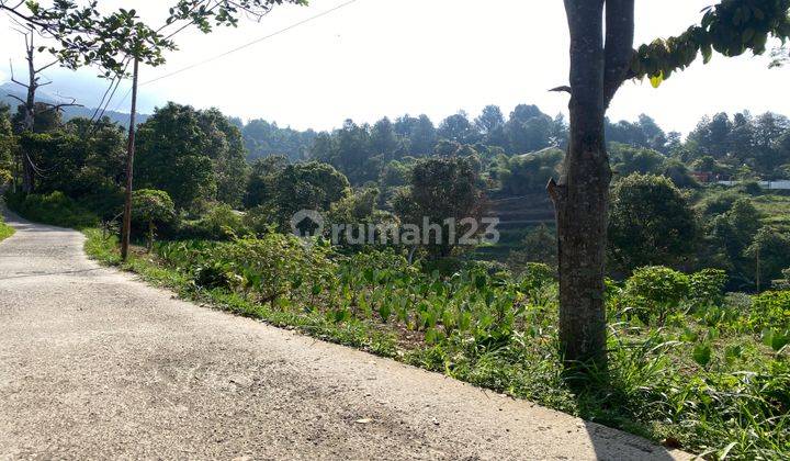 Dijual Tanah Cijeruk View Gunung Salak Dan Bogor Kota Murah Shm 2