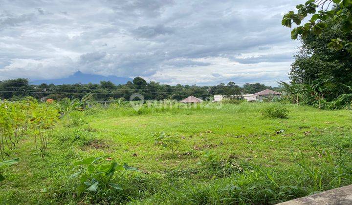 Dijual Tanah Dekat Gadog Di Megamendung Cipayung Murah View Salak 1