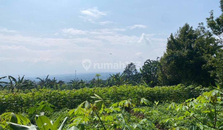 tampak depan dijual tanah cijeruk cibalung murah