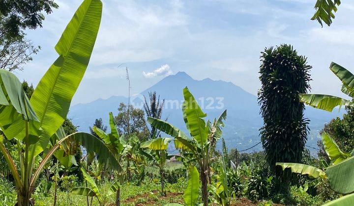 Dijual Tanah Cigombong 5km Dari Tol Best View Gunung Dan Kota 1