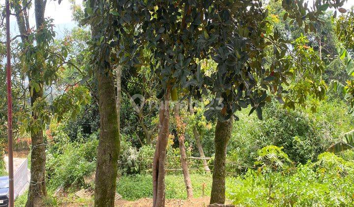 Tanah Cijeruk Shm Murah Best View Gunung Pangrango Dan Salak 2