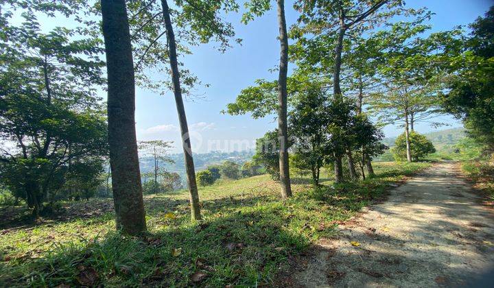 tanah cijeruk murah best view bagus untuk villa atau berkebun 2