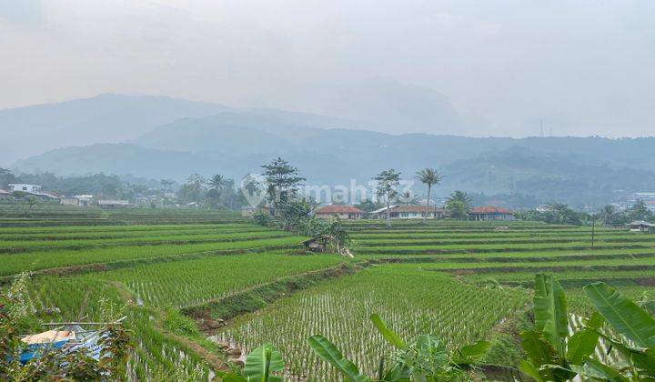 Tanah Di Jalan Cigombong Cijeruk Murah Best View Cocok Untuk Vila 1