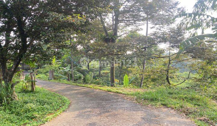 Tanah Cijeruk Tajur Halang Murah Pinggir Jalan Ada Mata Air 1