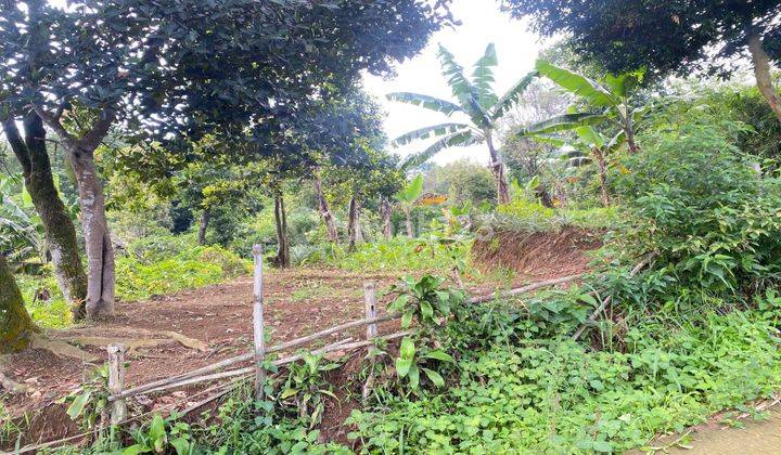 Tanah Cijeruk Tajur Halang Best View Murah Cocok Untuk Vila 2