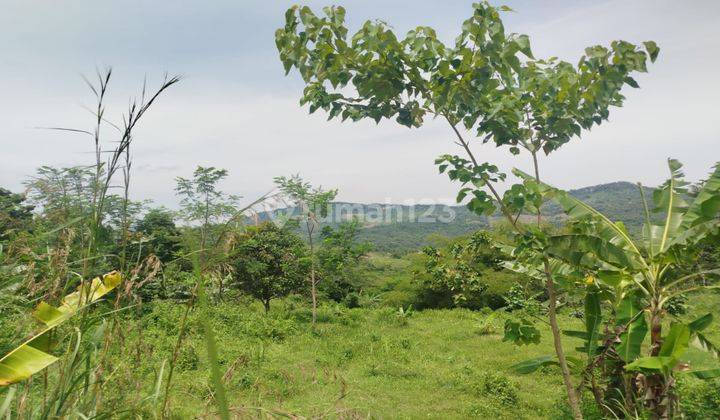 Dijual Tanah Sukamakmur Shm Best Lokasi View Oerbukitan Dan Kota 1