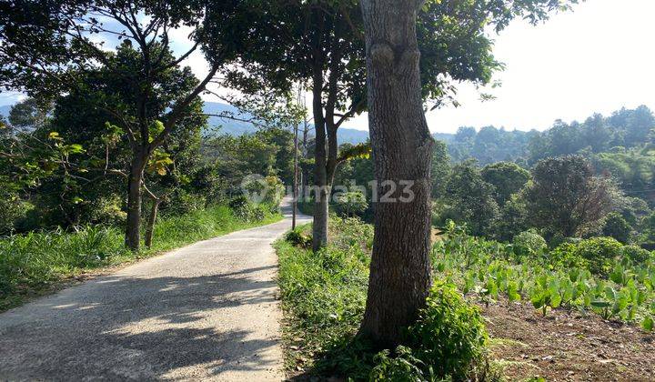 Dijual Tanah Cijeruk View Gunung Salak Dan Bogor Kota Murah Shm 1