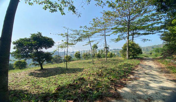 Tanah cijeruk murah samping curug putri pelangi best view salak 1