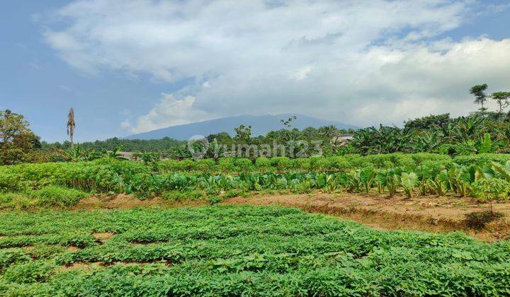 dijual tanah cijeruk murah pinggir jalan utama view gunung salak 1