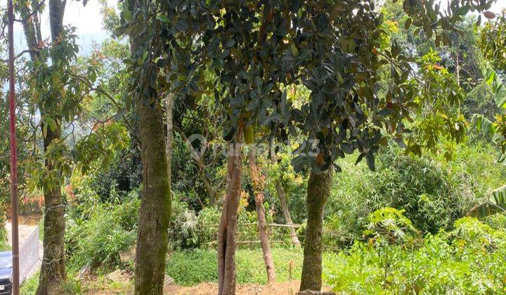 Tanah Cijeruk Murah Siap Bangun Vila Dan Berkebun The Best View 1