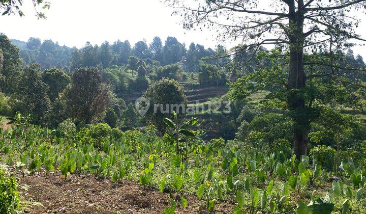 Tanah Cijeruk View Gunung Dan Kota Bogor Strategis Murah 2