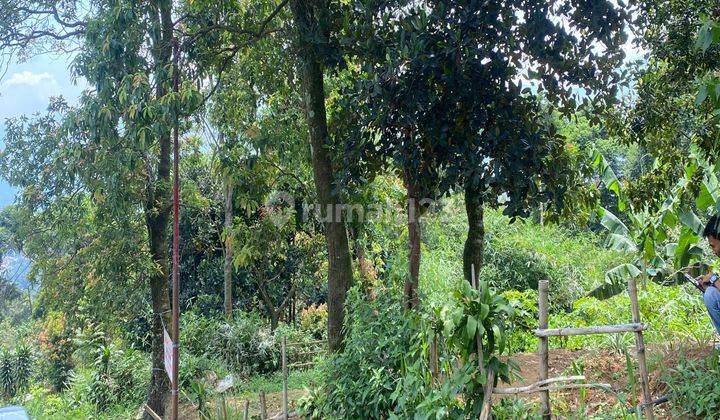 Tanah Cijeruk Murah Shm View Gunung Dn Kota Bogor Cocok Buat Vila 1