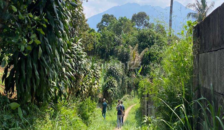 Tanah Cijeruk Tajur Halang Best View Murah Dekat Jalan Utama 2