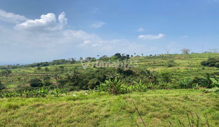 dijual tanah cijeruk palasari murah best view pinggir jalan 2