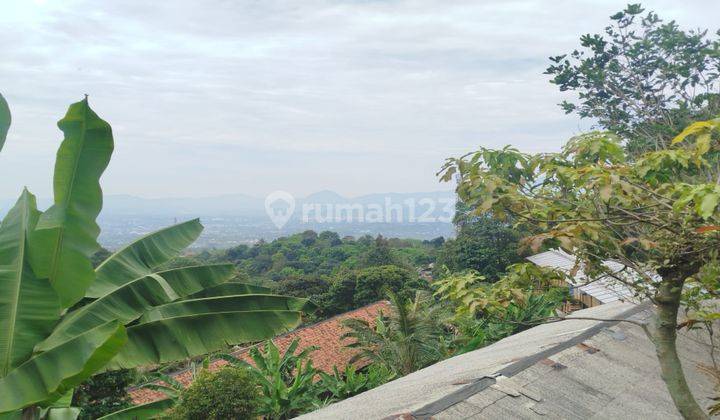 Tanah Cijeruk Dijual Posisi Bagus Cocok Untuk Villa Atau Camping 2