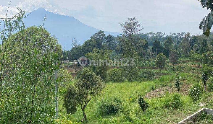 Tanah Cijeruk Shm Murah View Bogor Kota Dan Pegunungan Cocok Cafe 2