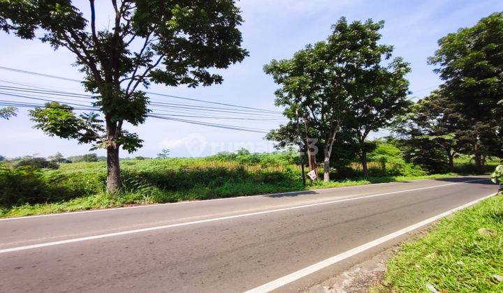 Tanah Sentul Pinggir Jalan Utama Rainbow Hill Cijayanti Murah 1