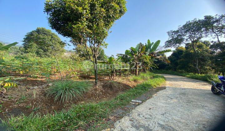 Tanah cijeruk best view dibawah kaki gunung salak pinggir jalan 2