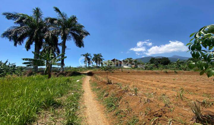 Tanah Cijeruk Cocok Untuk Perumahan Atau Glamping Murah Dekat Tol 1