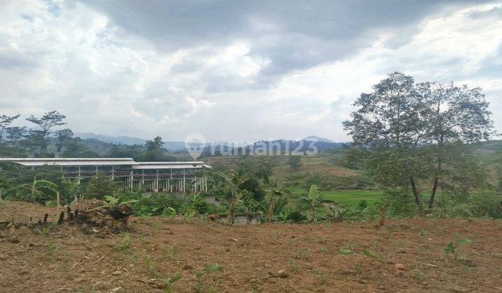 Tanah Murah Sukamakmur Pabuaran Cocok Untuk Vila Atau Kavling 2